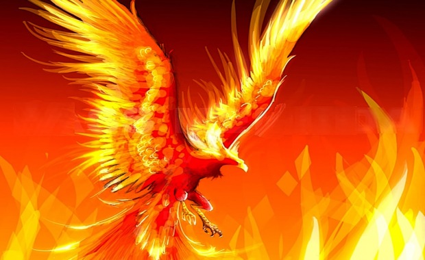 the-fire-phoenix